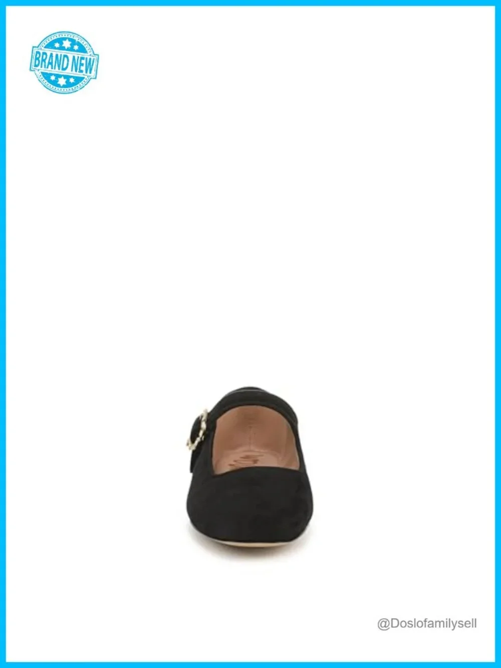Sam Edelman Michaela Mesh Ballet Flats Pointed Toe Buckle Mary Jane Flats